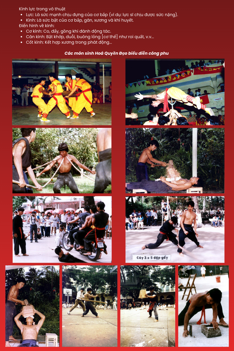 Hình ảnh võ phái