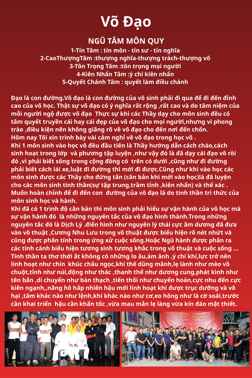 Hình ảnh võ phái